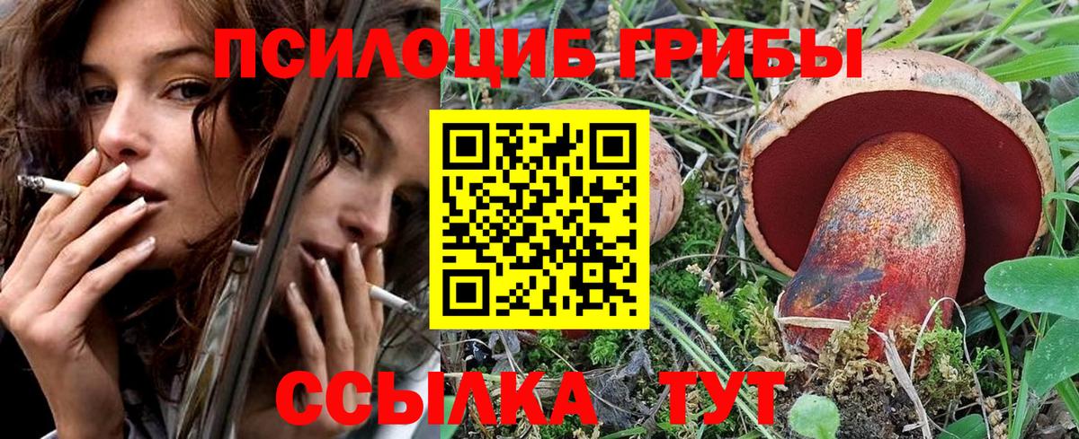 Вольск  Галлюциногенные грибы Cubensis  Вход с VPN  Псилоцибиновые грибы Psilocybe 
